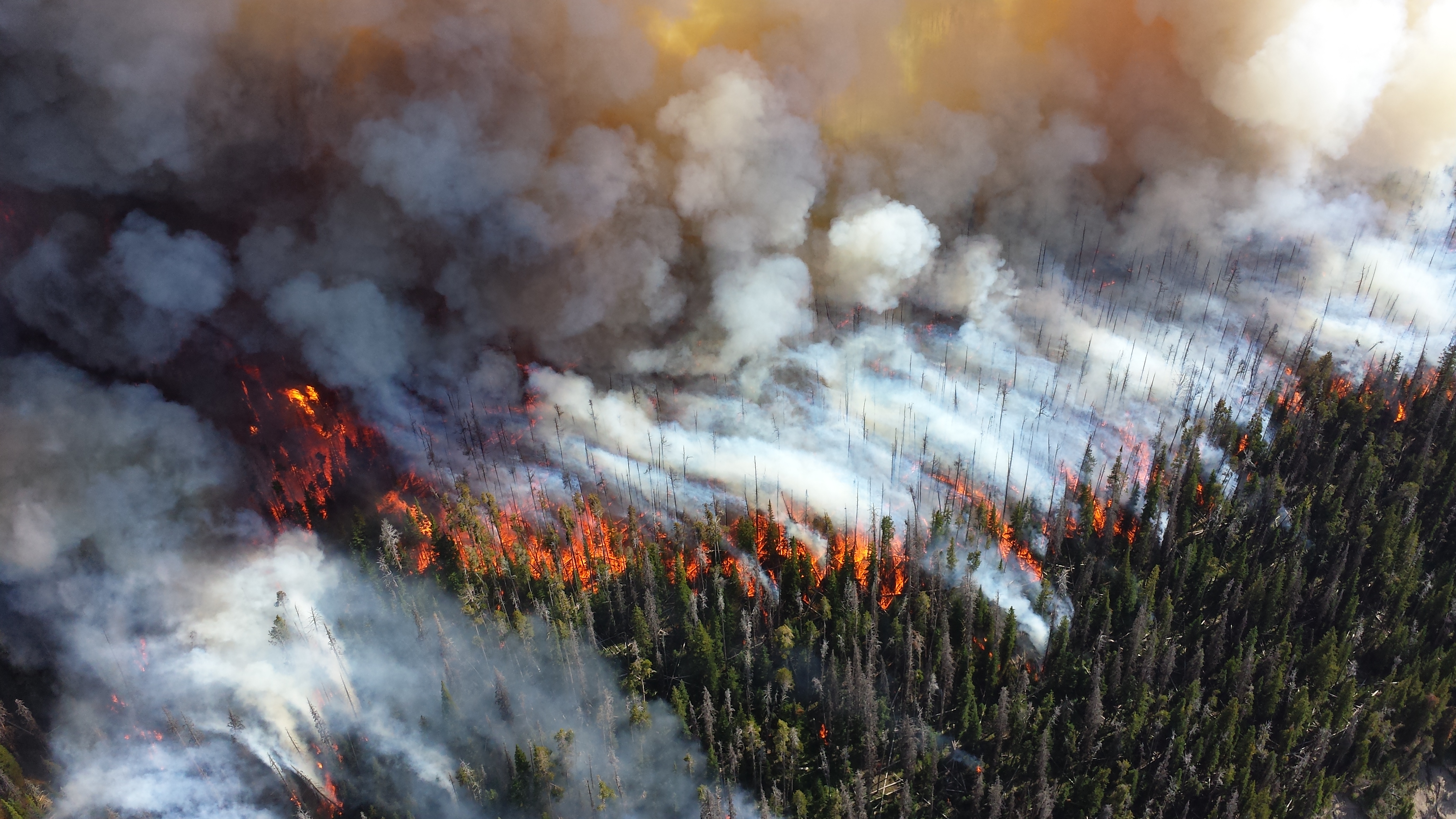 2013 Wildfire Alder Fire Yellowstone by Mike Lewelling National park Service.jpg