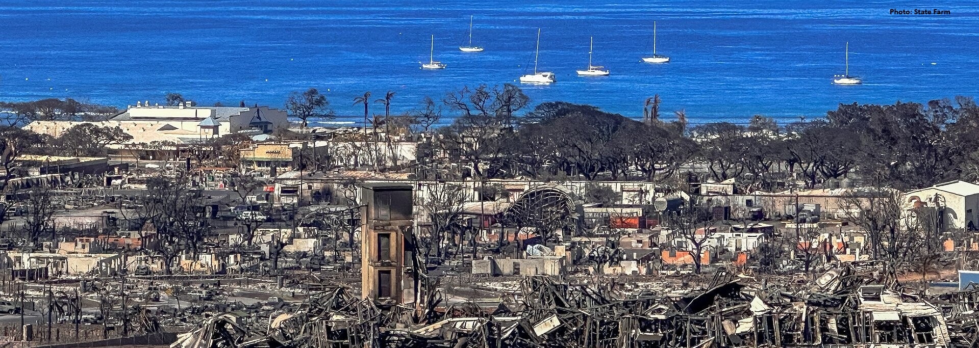 2023 Maui wildfire aftermath